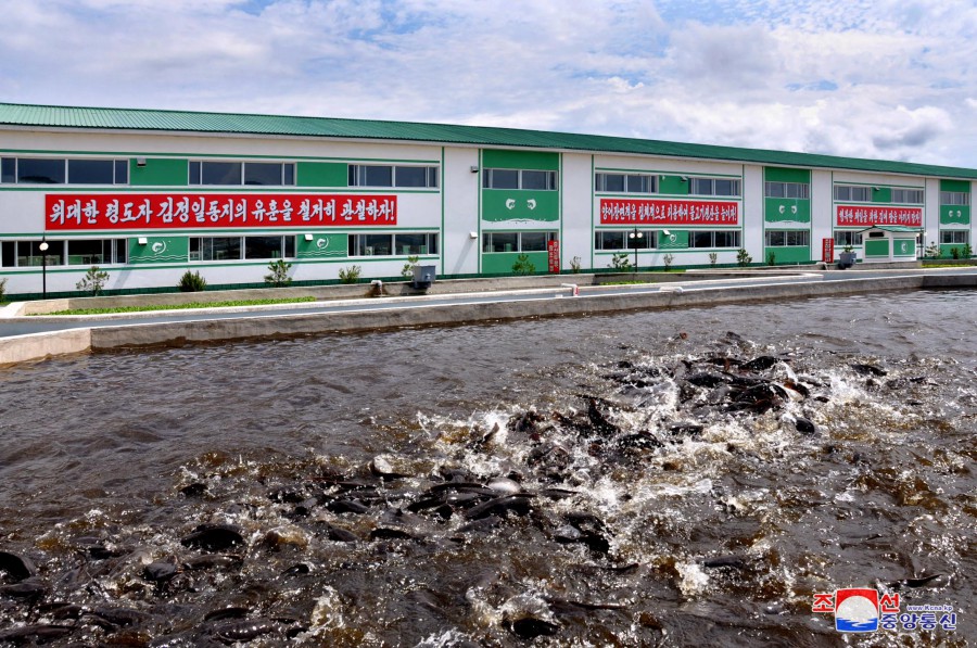 2-운산메기공장